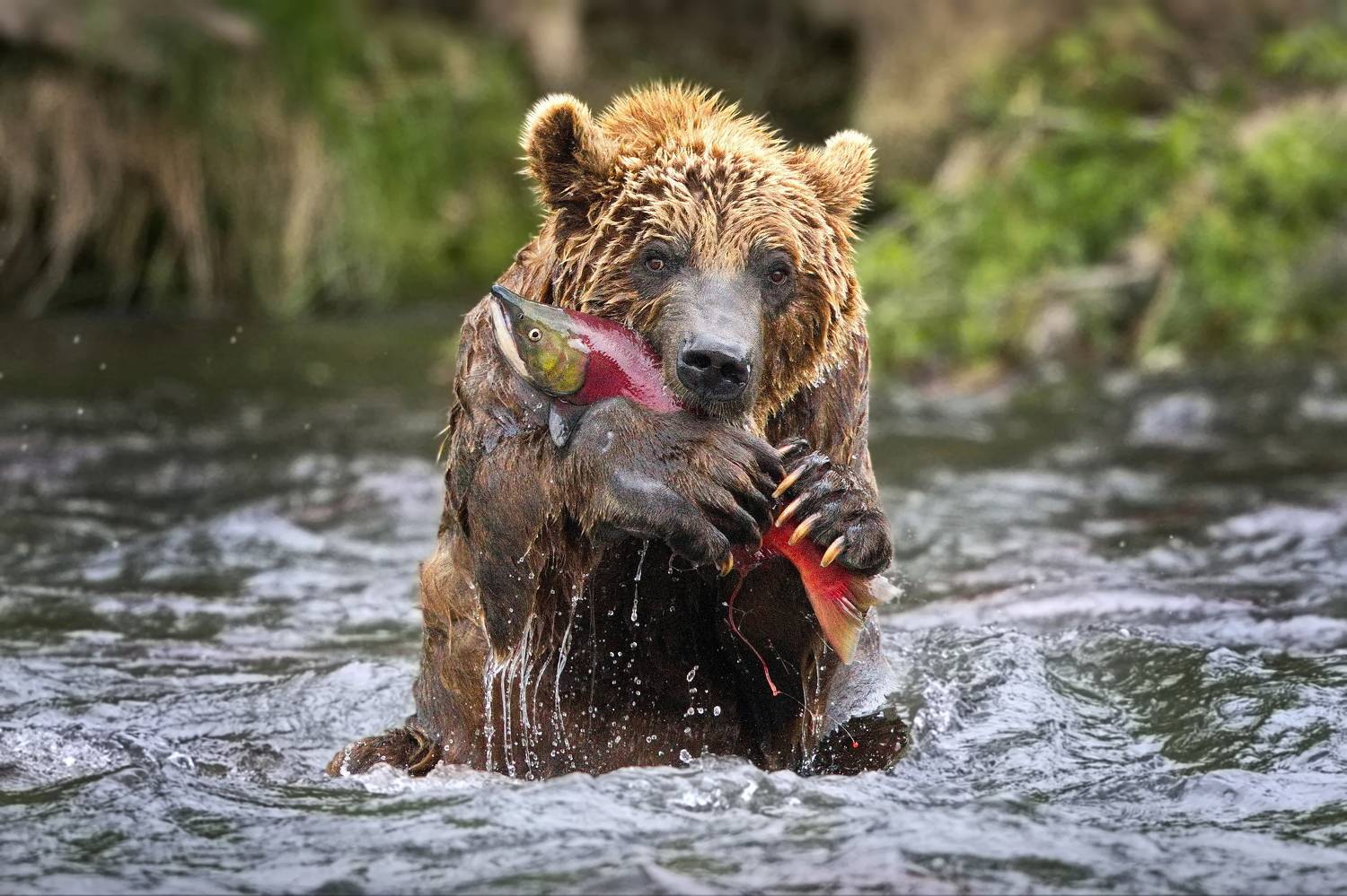 , Александр Перов