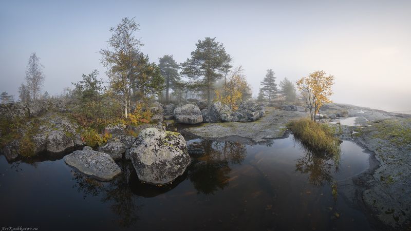 ладога, туман, ладожские шхеры, карелия, северное приладожье, скалистые острова, сосны, золотая осень, каменный пляж, луды \