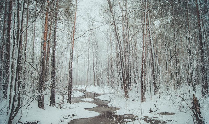 first snowphoto preview