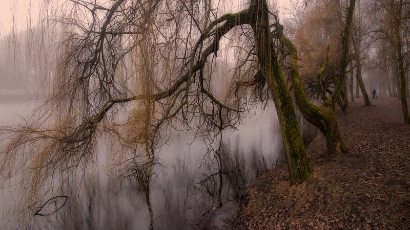 в эти хмурые дни..photo preview