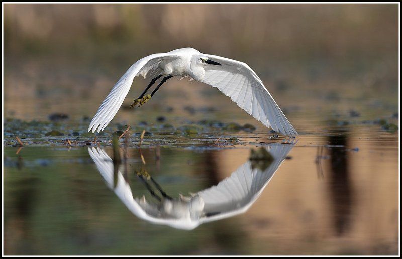 Две стихииphoto preview