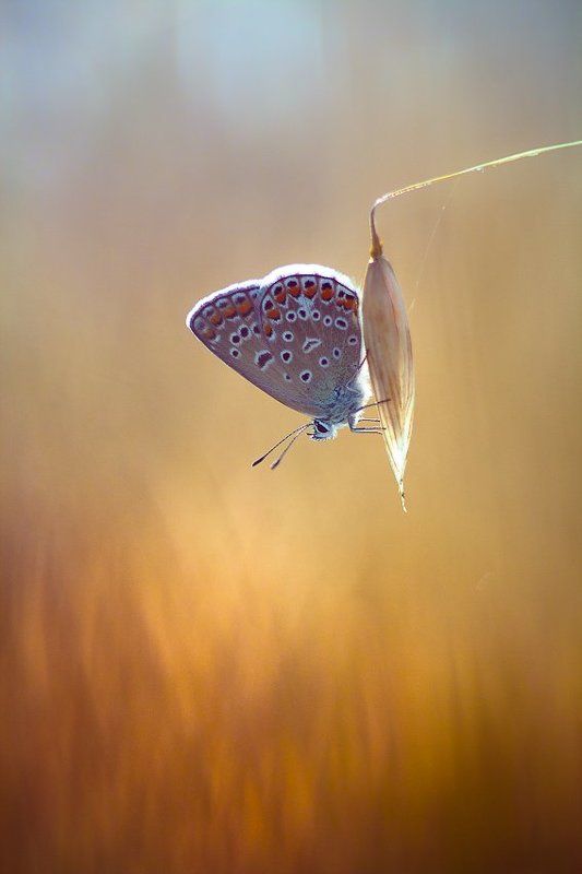 Moments of solitudephoto preview