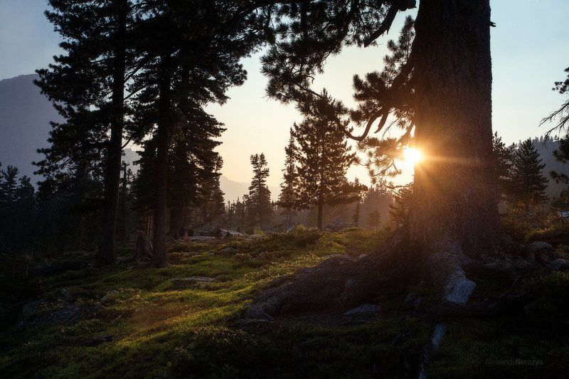 горы, ергаки, закат, лазурное, лес, озеро, пейзаж, россия, саяны, сибирь, тайга Последние лучиphoto preview