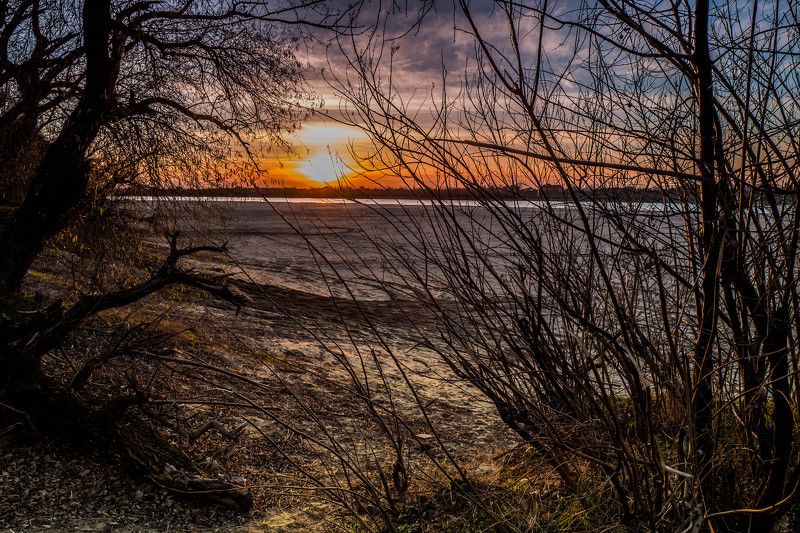 Теплое солнце декабряphoto preview