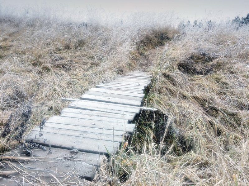 Иней, трава, мостик, тропа На пути в сказку...photo preview