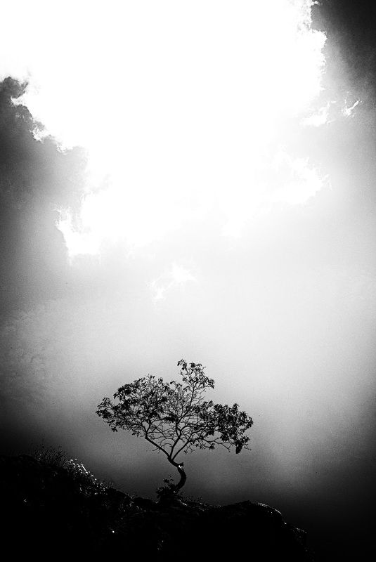 Стремление к светуphoto preview