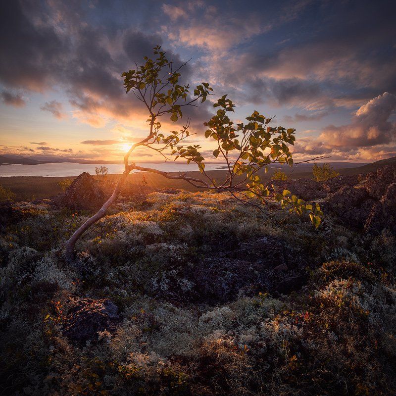 хибины, hibiny, кольский крайняяphoto preview