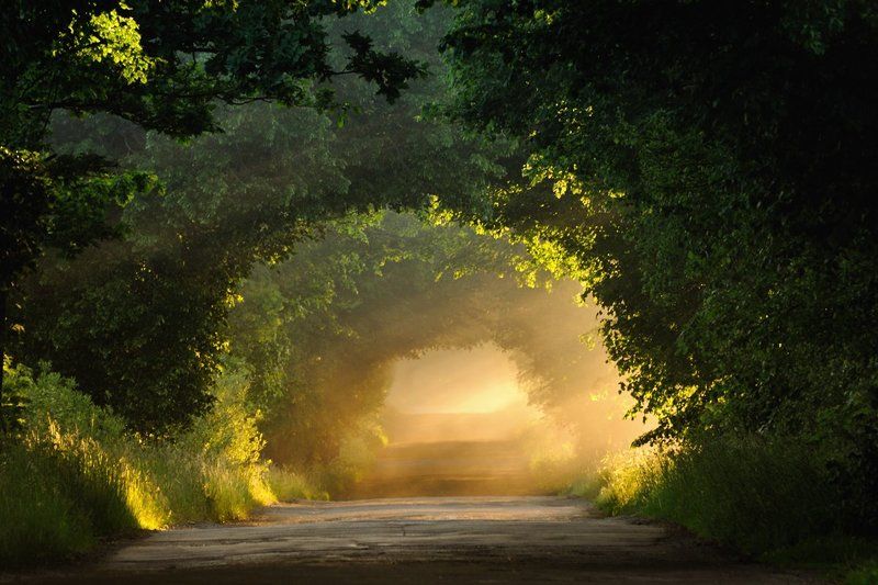 дорогаphoto preview