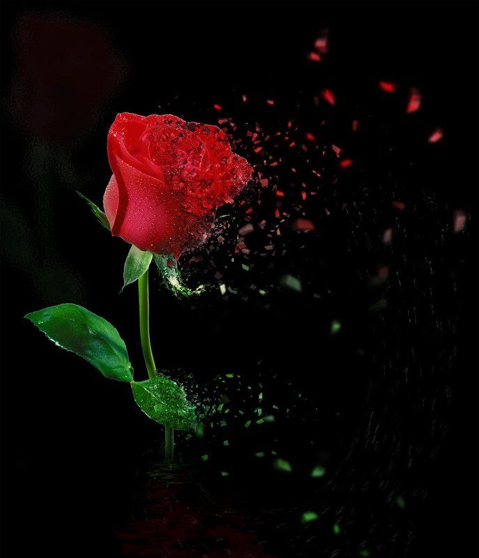 I believe in lovephoto preview