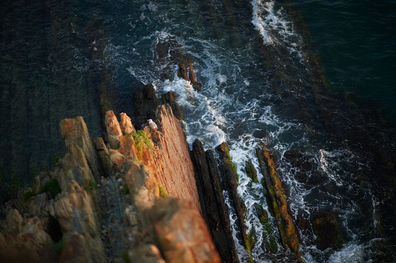 туапсе, черное море, скалы, ночь, закат Скала Киселёваphoto preview