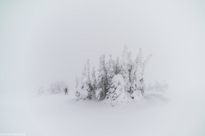 ГУХ В молочном лесуphoto preview