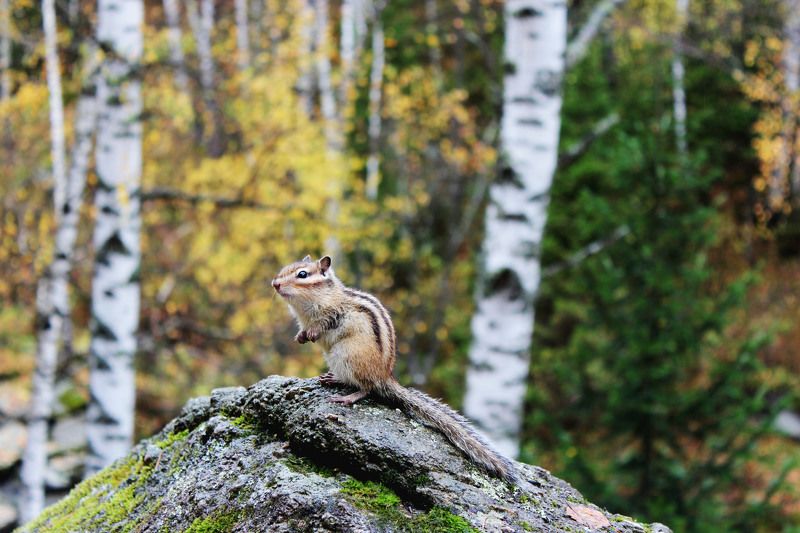 Tatyana, Russia
