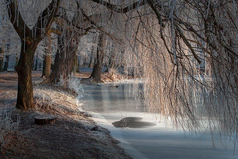 декабрьская сказкаphoto preview