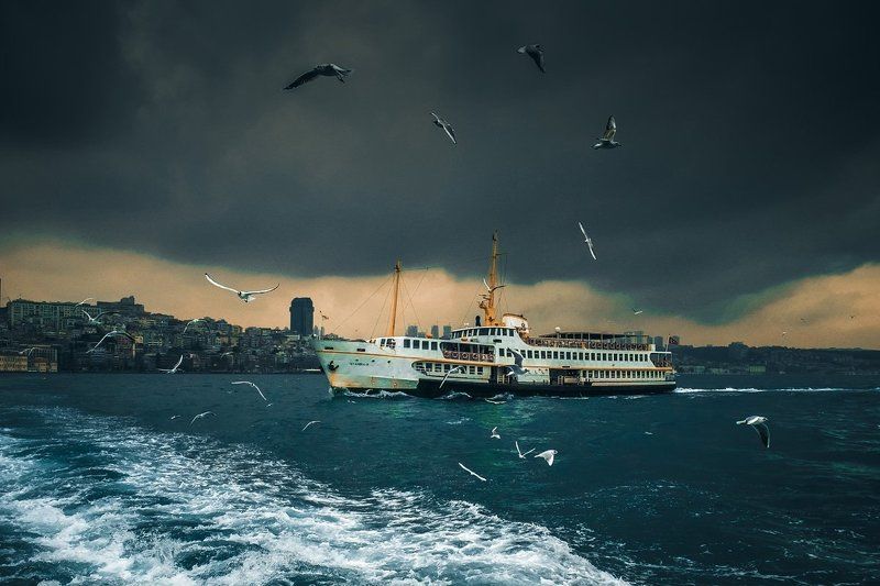 чайки, стамбул, пролив, паром, лодка, босфор, strait, seagulls, istanbul, ferry, bosphorus, boat Bosphorus ferry...photo preview
