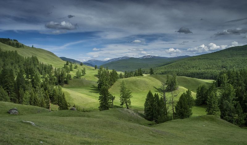 Алтай Улаганское нагорьеphoto preview