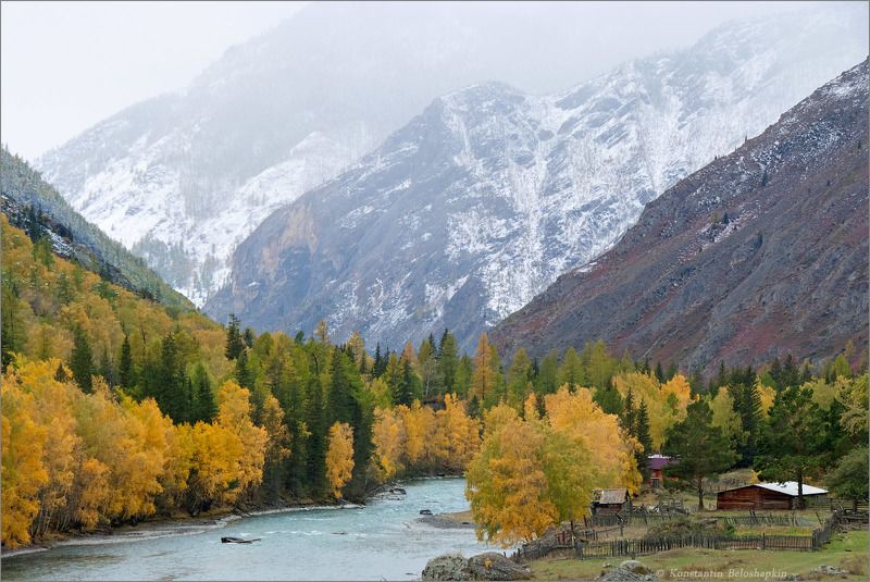 алтай, ер-балык, константин белошапкин, горы, чуя Ер-Балыкphoto preview