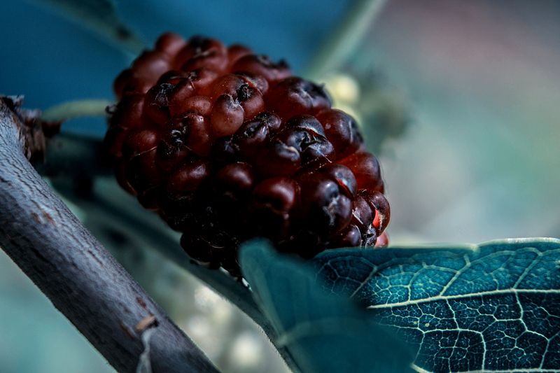 Cпелостьphoto preview