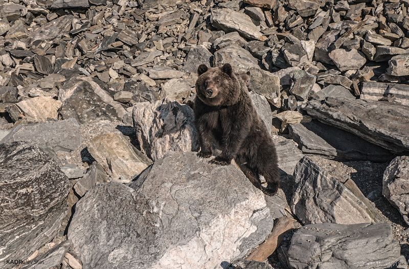 Байкала +photo preview