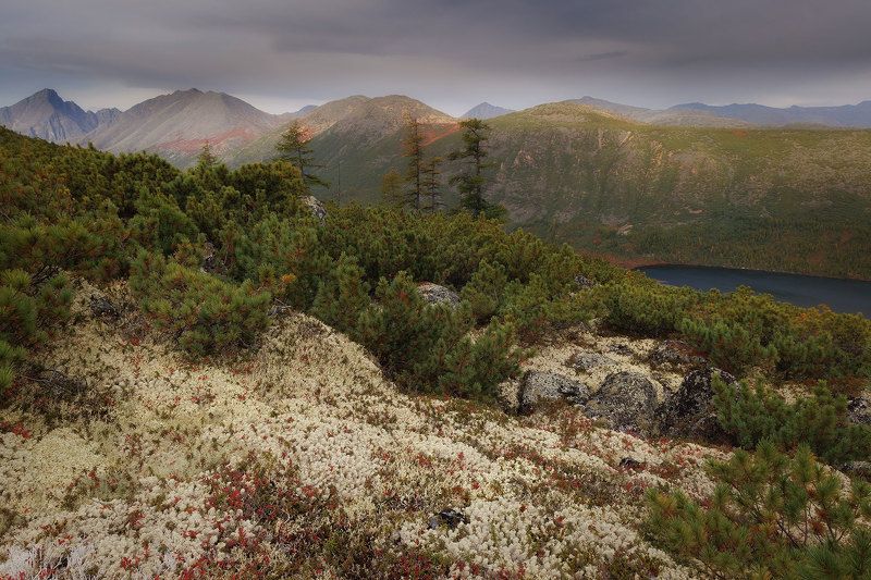 Колымаphoto preview