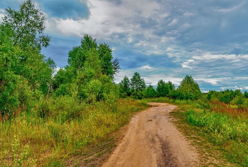 Грунтовая дорожка убегает вдаль.photo preview