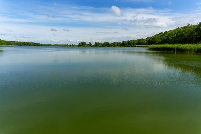 озеро, природа, цапля, гладь Тихое озероphoto preview