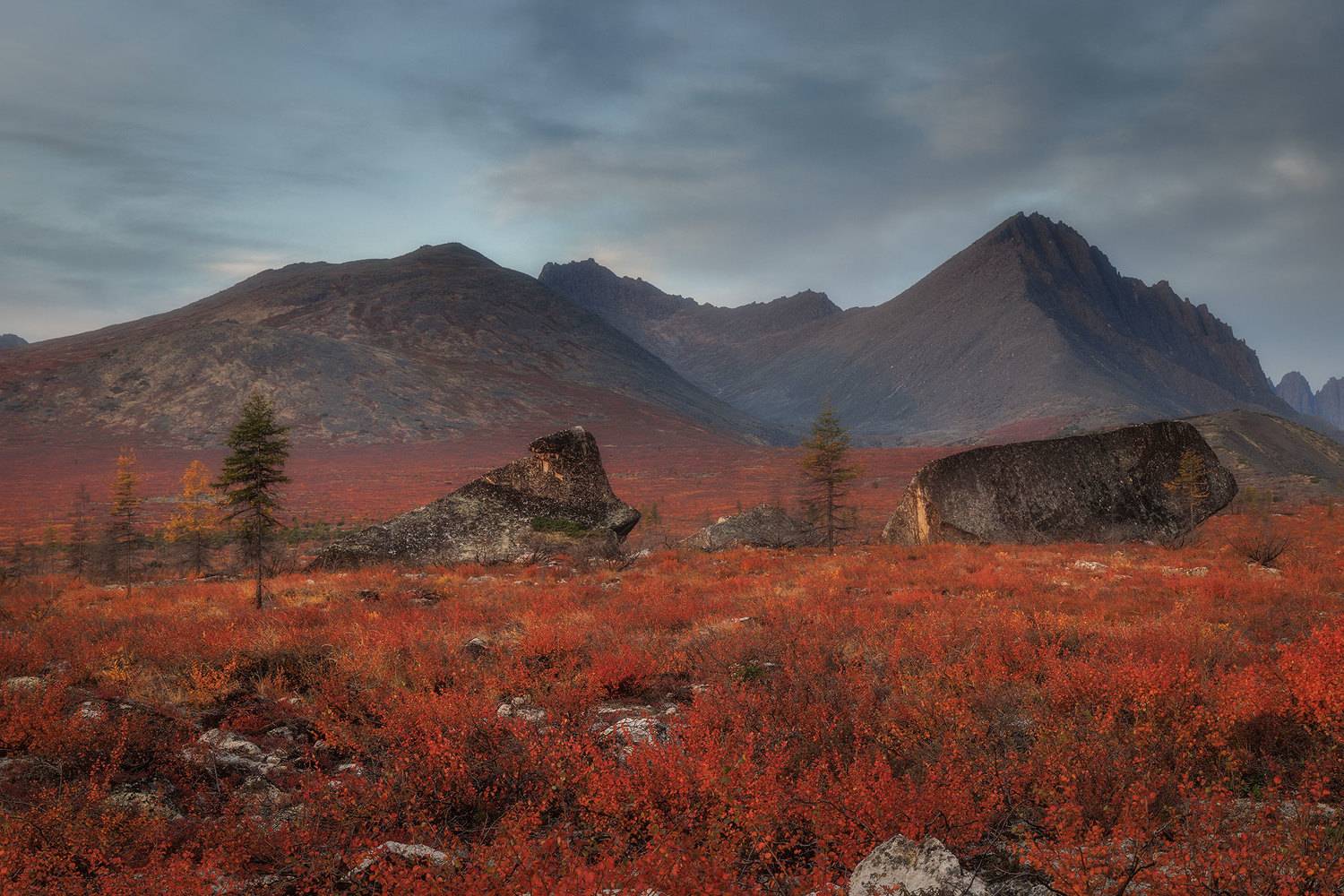 Колыма. Автор: Морозов Сергей , Морозов Сергей