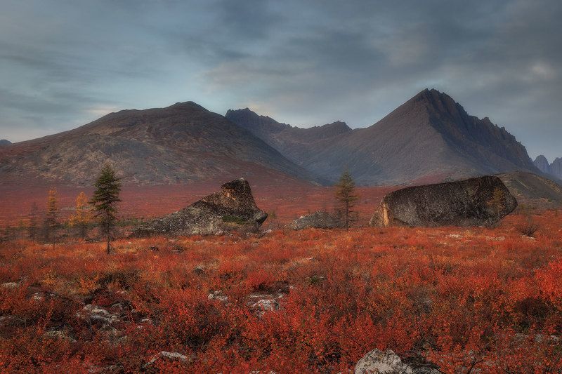 Колымаphoto preview