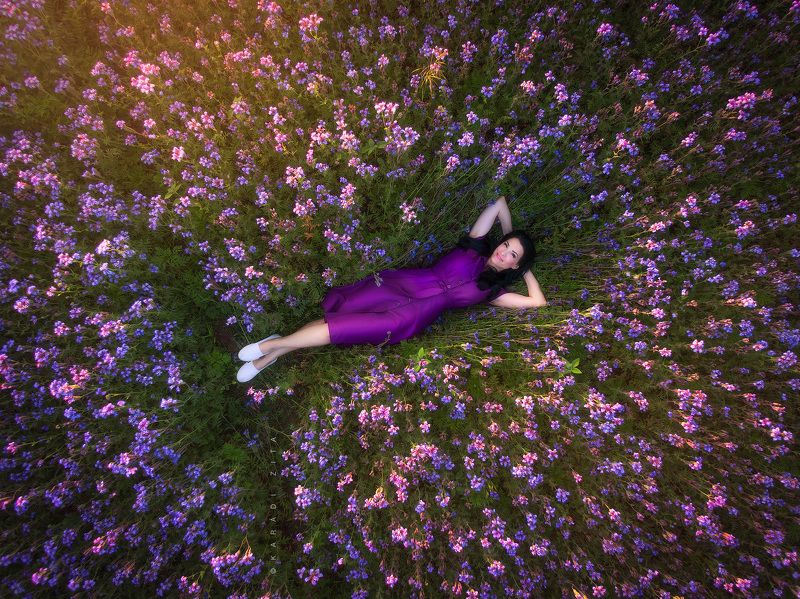 hungary, woman, flowers, purple, drone, air, Lady In Purplephoto preview