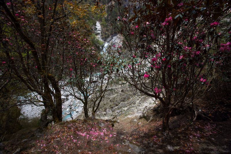 пейзажемагьё, пейзаж-как-виденье Фоэзия стихшего ветра …photo preview