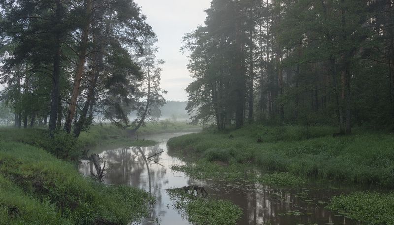 туман, река photo preview