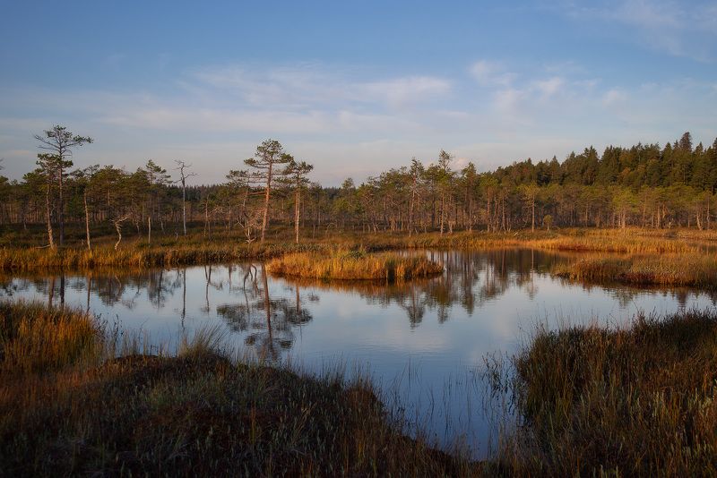 осень, болота, ленинградская область, рассвет ***photo preview