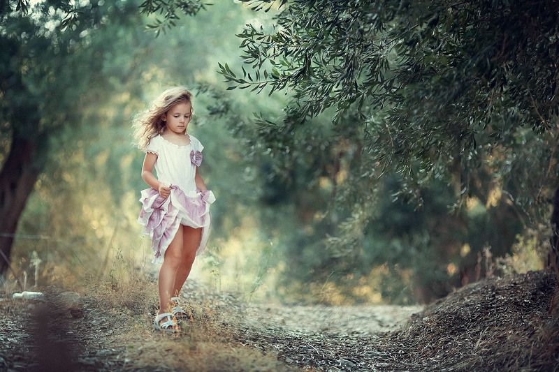 Оливковая рощаphoto preview