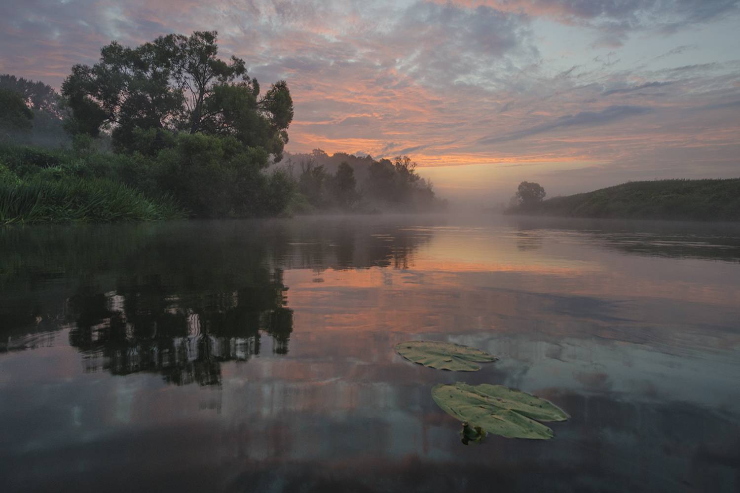 Якшино. Заводь нижнего переката. Автор: Михаил Агеев утро, рассвет, река, упа, якшино, кубышка жёлтая, Михаил Агеев