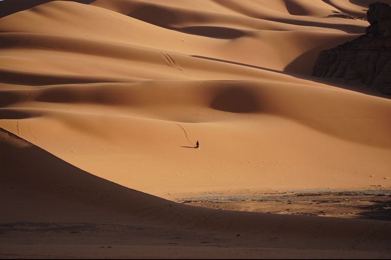 Сахара, пустыня, туарег Сахара утромphoto preview