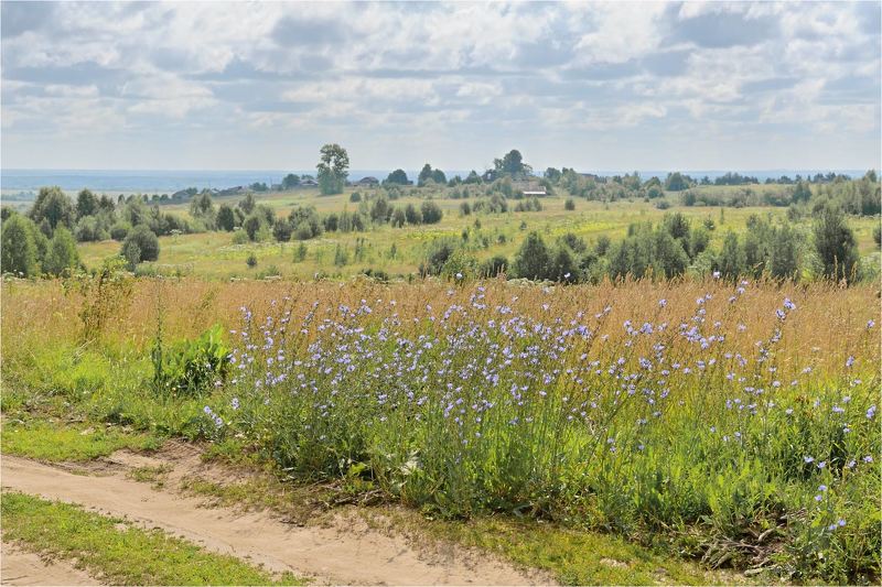 Июльский полденьphoto preview