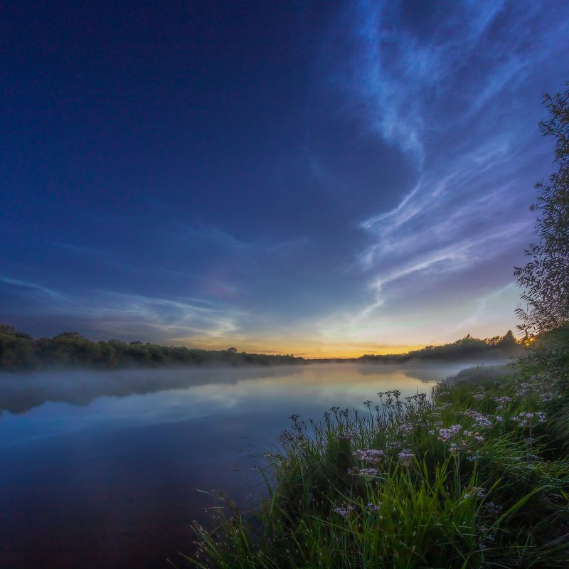 облака, ночь, рассвет, тепло, река, вода, отражения, туман, небо, цветы, лето, июль,  Серебристые облакаphoto preview