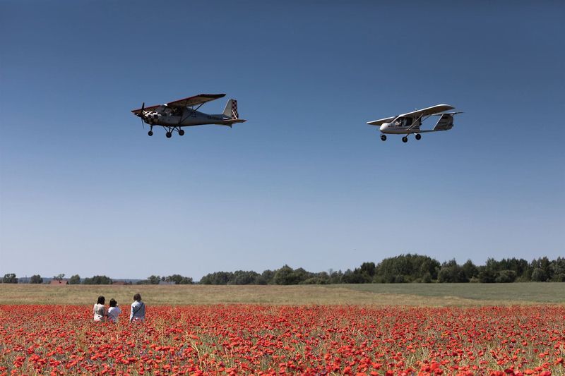 Маковая фотоманияphoto preview