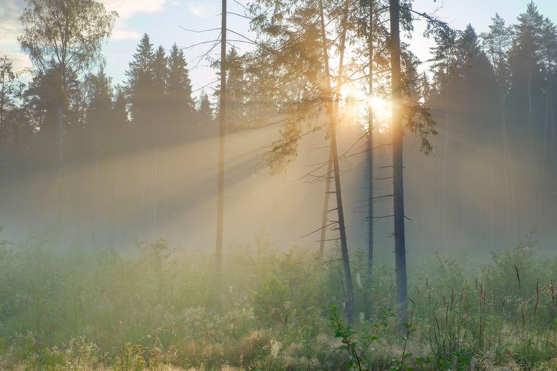 Калужская обл., дер. Рыляки в середине летаphoto preview