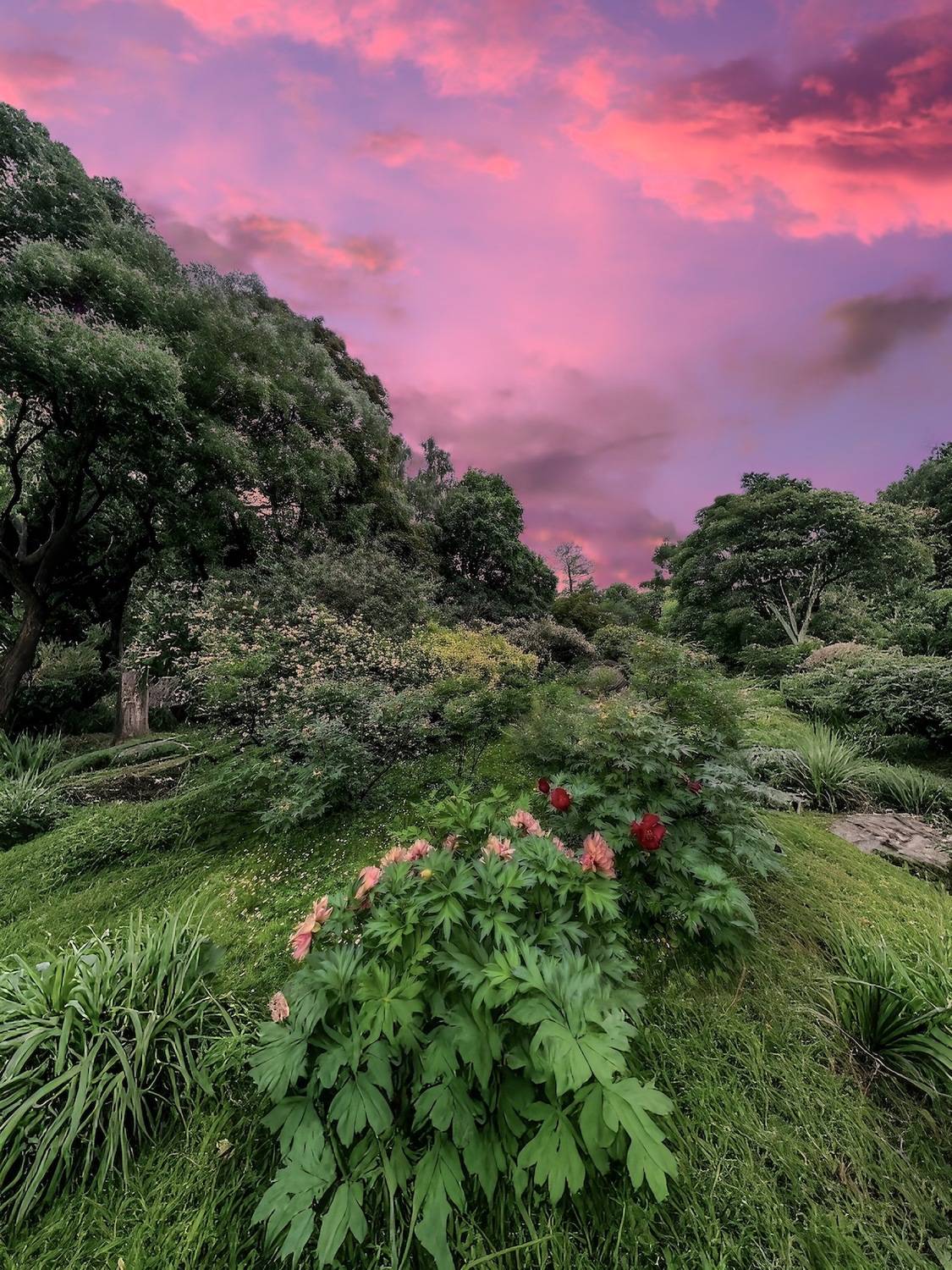 пейзаж, landscape, nature, природа, лето, summer, sunset, закат, Julia Kaissa