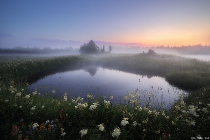 пейзаж, север, туман, рассвет, ночь, озеро, лето, коми Белые туманные ночиphoto preview