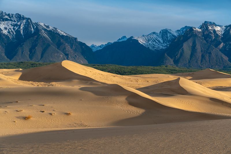 чарские пески, пустыня, горы, кодар, дюны, закат, desert, mountains, kodar, dunes, sunset, sand photo preview