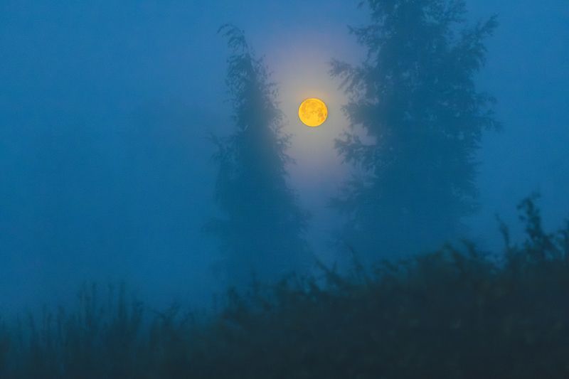 Июльское полнолуние.photo preview