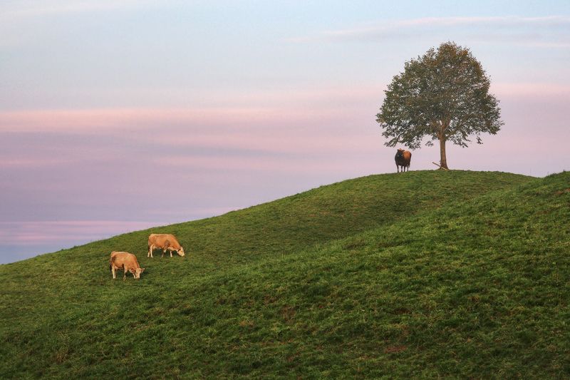 швейцария ***photo preview