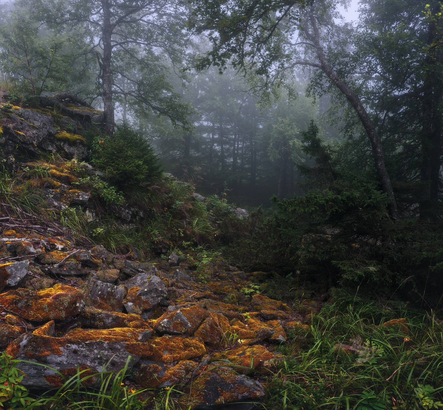 тайга, уреньга, южный урал,  marateaman