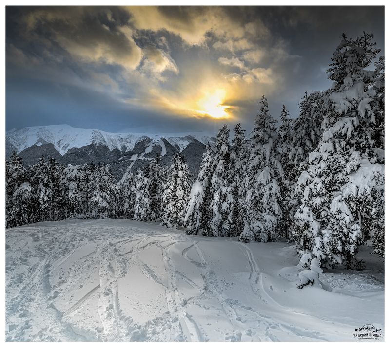 Заколдованный лес снежных горphoto preview