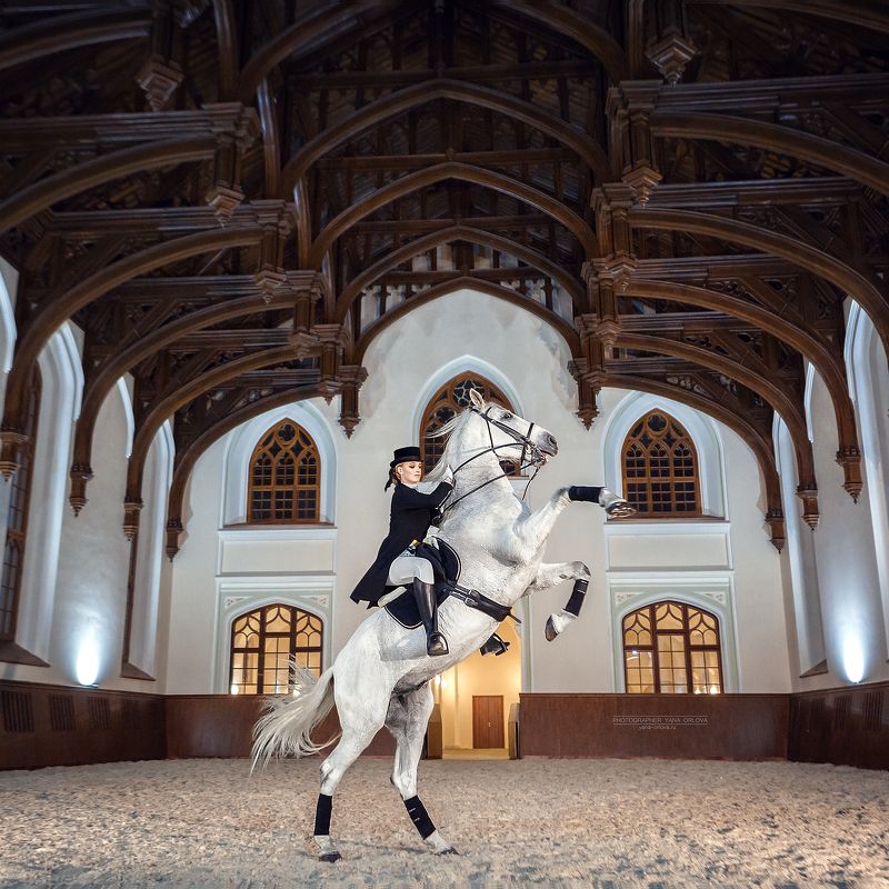 horse, horses, лошадь, конь, конныйфотограф, конный фотограф Яна Орлова, кэнон, canon, 7020028, лошади, фотографияслошадью, фотосессияслошадью, фотосессиислошадьми, коннаяфотография, pferd, horsephotographer, женский портрет, девушка   фото превью