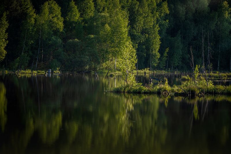 Пейзаж в кадреphoto preview