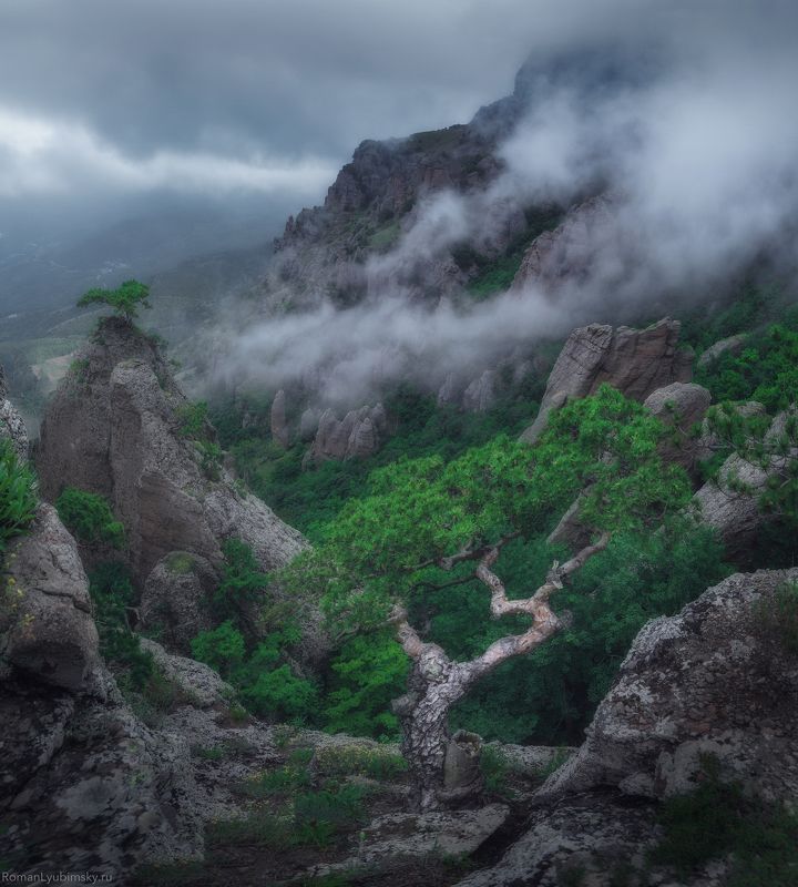 крым, пейзаж, демерджи, туман, горы, скалы На туманных скалахphoto preview