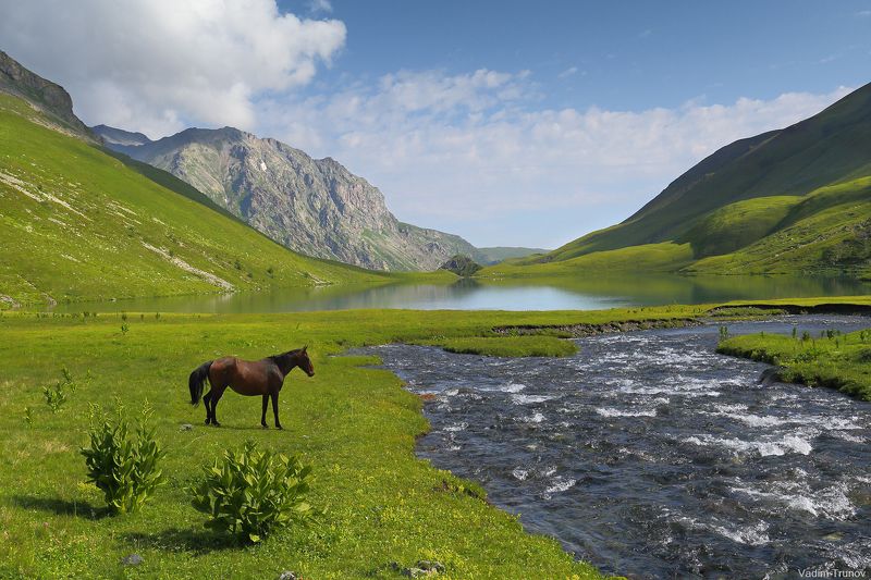 архыз, кчр, кяфар, абишира-ахуба, кавказ Кяфарphoto preview