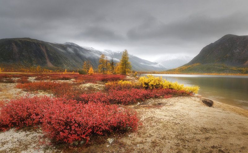 Колымаphoto preview